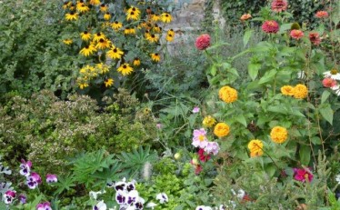 Jardins sensoriais: O encontro da paz e o verde