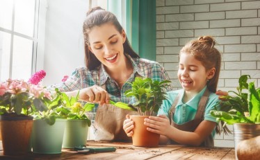 Horta em casa: dicas simples para cultivar seu cantinho verde